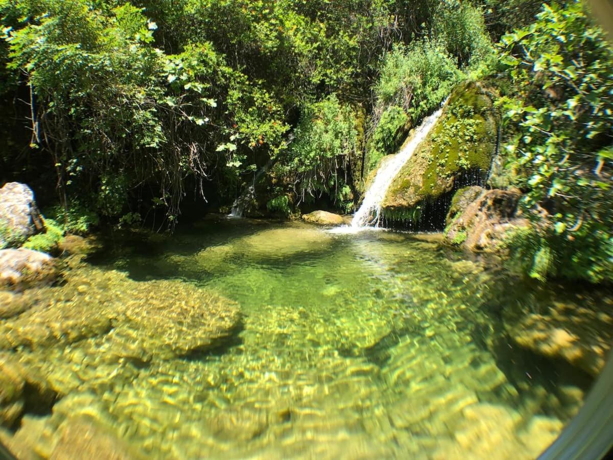 בית כפרי Estate & Winery San Duyevo