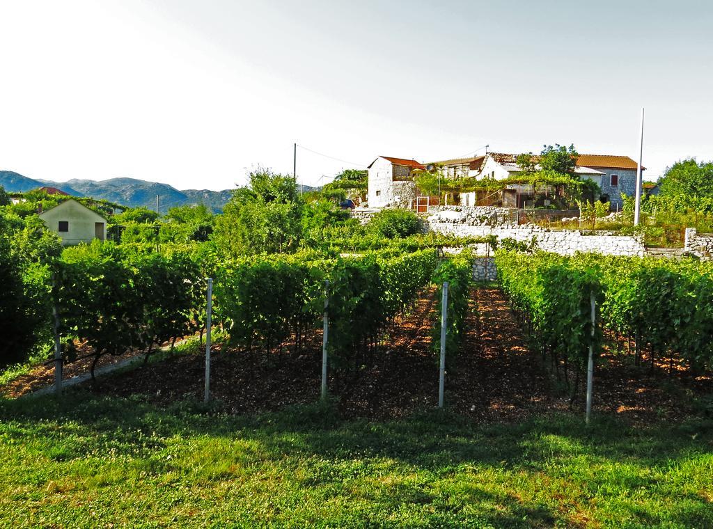 בית כפרי Estate & Winery San Duyevo Rijeka Crnojevića