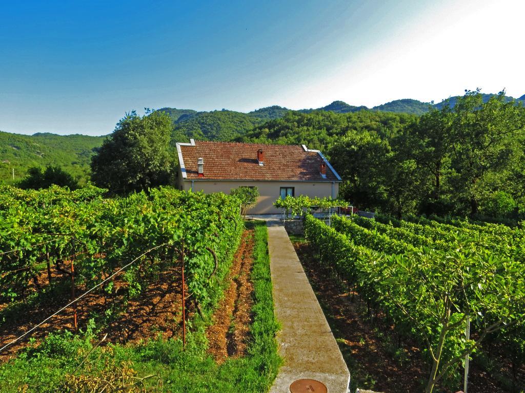 Estate & Winery San Duyevo Rijeka Crnojevića