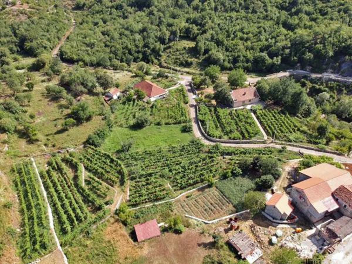 Estate & Winery San Duyevo בית כפרי *